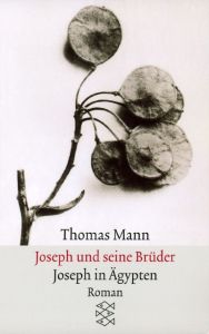 Joseph und seine Brüder 3 Mann, Thomas 9783596294374