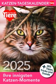 Katzen Tageskalender 2025  9783865171740