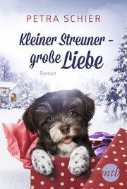 Kleiner Streuner - große Liebe Schier, Petra 9783956497513
