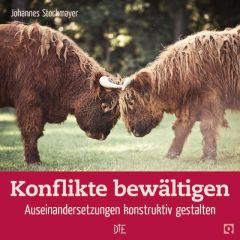 Konflikte bewältigen Stockmayer, Johannes 9783862708574