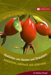 Köstliches von Hecken und Sträuchern Strauß, Markus 9783775008129