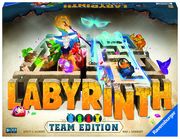 Labyrinth Team Edition Xavier Durin 4005556273287