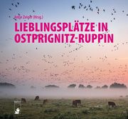 Lieblingsplätze in Ostprignitz-Ruppin Antje Zeiger 9783910447301