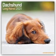 Longhaired Dachshund - Langhaardackel 2025 - 16-Monatskalender  9781804603345