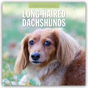 Long-Haired Dachshunds - Langhaardackel 2025 - 16-Monatskalender  9781804424841