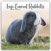 Lop-eared Rabbits - Widderkaninchen 2025 - 16-Monatskalender  9781804604496