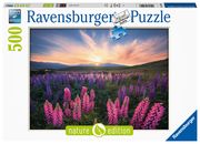 Lupinen - Puzzle - 17492  4005556174928