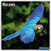 Macaws - Ara-Papageien - Aras 2025 - 16-Monatskalender  9781804604151