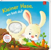 Mein erstes Guckloch-Fühlbuch: Kleiner Hase, wo bist du? Sabine Kraushaar 9783649649380