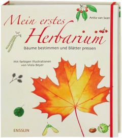 Mein erstes Herbarium Saan, Anita van 9783401452562