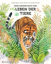 Mein großes Buch vom Leben der Tiere Aladjidi, Virginie/Pellissier, Caroline 9783836961448