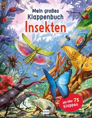 Mein großes Klappenbuch - Insekten Green, Rod 9783741525391