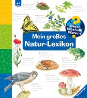 Mein großes Natur-Lexikon Noa, Sandra 9783473329892