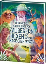 Mein großes Vorlesebuch von Zauberern, Hexen und anderen magischen Wesen Orsi, Tea 9783743218895