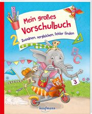 Mein großes Vorschulbuch - Zuordnen, vergleichen, Fehler finden Lückel, Kristin 9783780665300