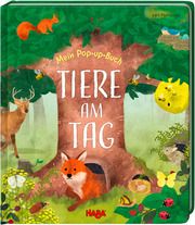 Mein Pop-up-Buch - Tiere am Tag Davies, Becky 9783869143545