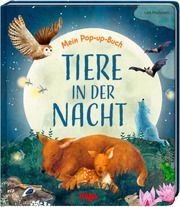 Mein Pop-up-Buch - Tiere in der Nacht Davies, Becky 9783869143552