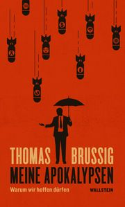 Meine Apokalypsen Brussig, Thomas 9783835330306