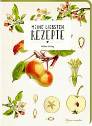 Meine liebsten Rezepte - Einschreibbuch (Äpfel)  4041433880940