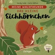 Meine Waldfreunde - Das kleine Eichhörnchen Häfner, Carla 9783751202398