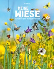 Meine Wiese - Entdecke eine wunderbare Welt Haft, Jan 9783328301837