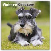 Miniature Schnauzer - Zwergschnauzer 2025 - 16-Monatskalender  9781804603864