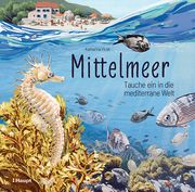 Mittelmeer Vlcek, Katharina 9783258083643