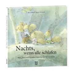 Nachts, wenn alle schlafen Iwamura, Kazuo/Pflock, Rose 9783314017766