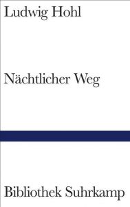 Nächtlicher Weg Hohl, Ludwig 9783518224878