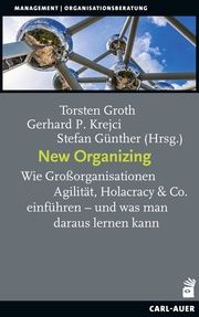 New Organizing Torsten Groth/Gerhard P Krejci/Stefan Günther 9783849704025