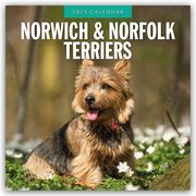 Norwich Terrier und Norfolk Terrier 2025 - 16-Monatskalender  9781804424902