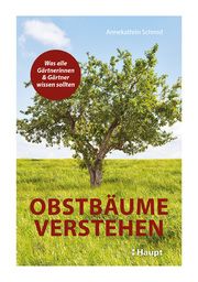 Obstbäume verstehen Schmid, Annekathrin 9783258082189