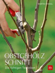 Obstgehölzschnitt Stangl, Martin 9783835418035