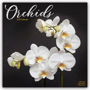 Orchids - Orchideen 2025 - 16-Monatskalender  9781804604793