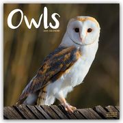 Owls - Eulen 2025 - 16-Monatskalender  9781804604427