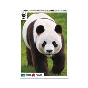 Panda  4895254300213