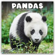 Pandas - Pandabären 2025 - 16-Monatskalender  9781804604434