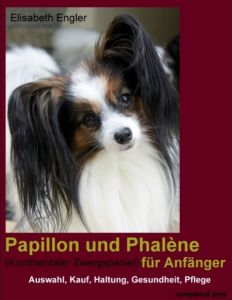 Papillon und Phalène (Kontinentaler Zwergspaniel) für Anfänger Engler, Elisabeth 9783934473140