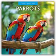 Parrots - Papageien 2025 - 16-Monatskalender  9781804424025