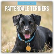 Patterdale Terriers - Patterdale Terrier - Schwarzer Terrier 2025 - 16-Monatskalender  9781804424933