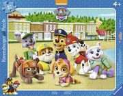 Paw Patrol - Familienfoto  4005556061556