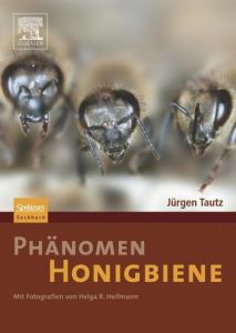 Phänomen Honigbiene Tautz, Jürgen/Heilmann, Helga R 9783827418456