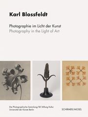 Photographie im Licht der Kunst/Photography in the Light of Art Blossfeldt, Karl 9783829610247