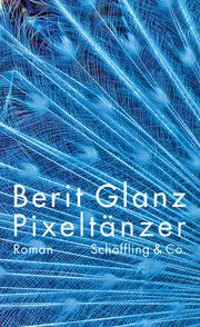 Pixeltänzer Glanz, Berit 9783895611926