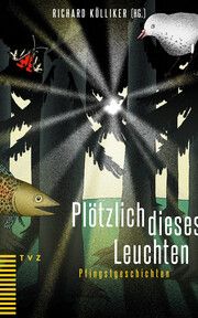 Plötzlich dieses Leuchten Richard Kölliker 9783290186104