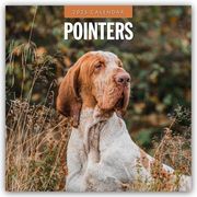 Pointers - Vorstehhund - Pointer 2025 - 16-Monatskalender  9781804424964