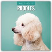 Poodles - Pudel 2025 - 16-Monatskalender  9781804424988