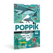 POPPIK - Sticker Lernposter Ozean Lucie Brunelliére 3760262410500