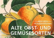 Postkarten-Set Alte Obst- und Gemüsesorten Anaconda Verlag 9783730613900