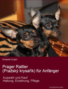 Prager Rattler (Prazský krysarík) für Anfänger Engler, Elisabeth 9783934473133
